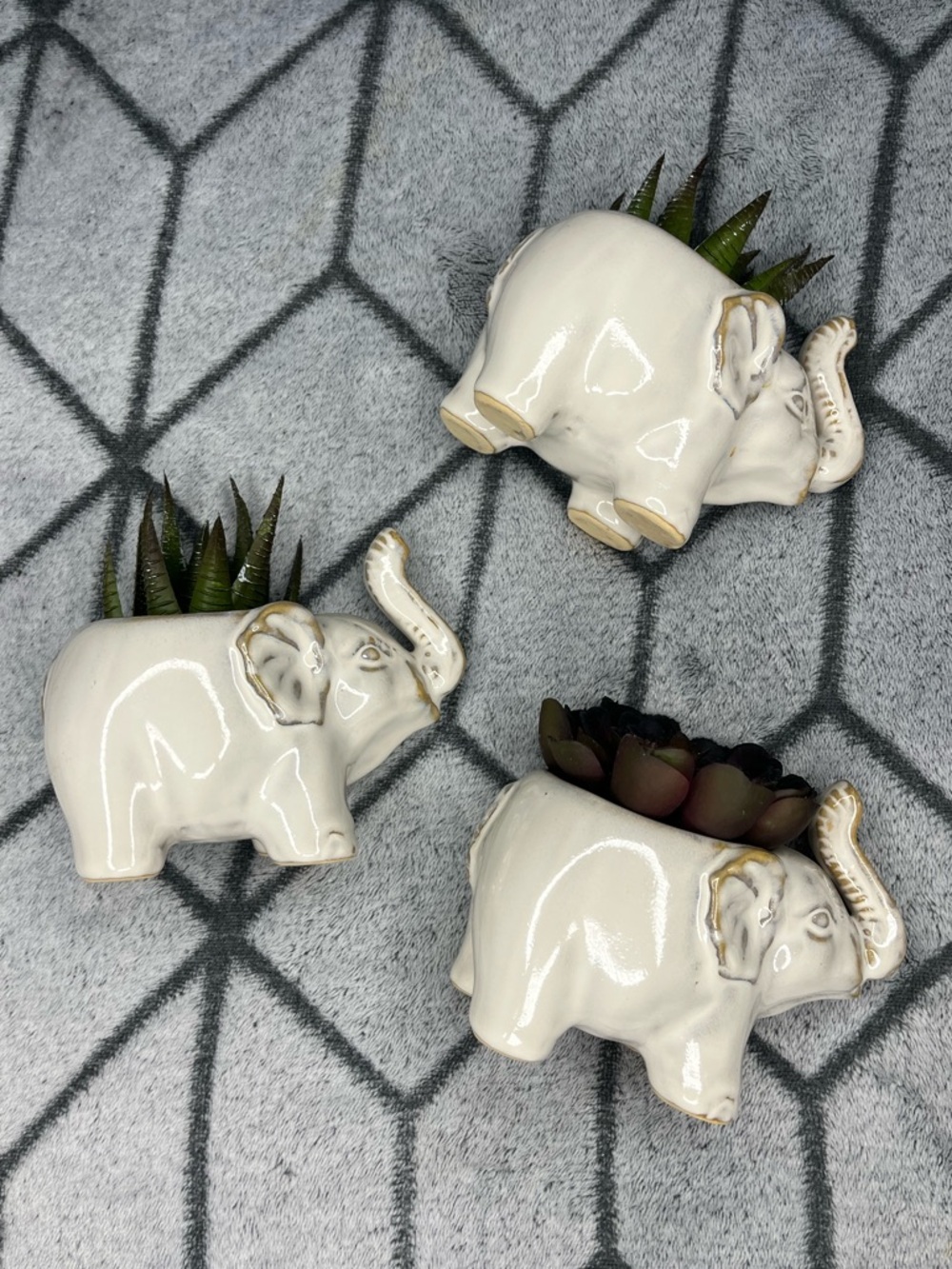 Anthropologie White Ceramic Trumpeting Elephant Planter Trio with Succulents